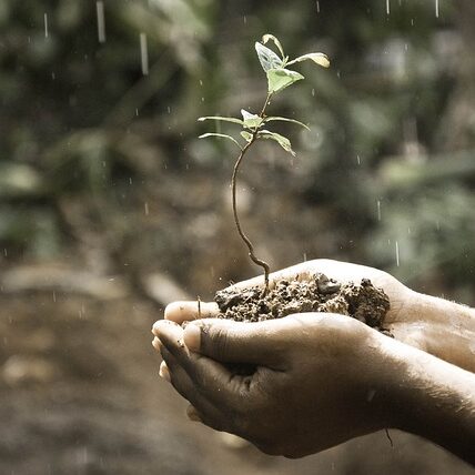 Christian Leadership Alliance nonprofit growth through faithful stewardship