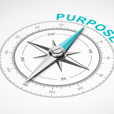 Purpose-driven