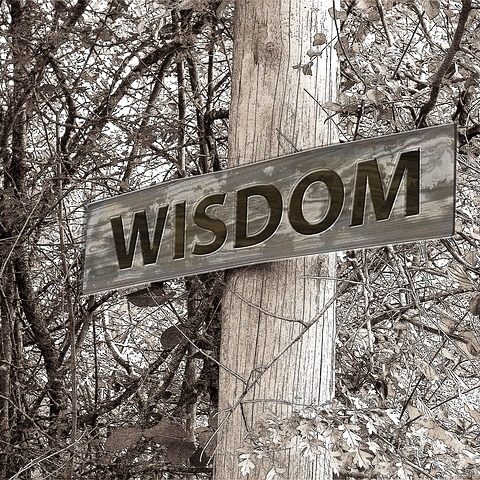 Wisdom sparks momentum.