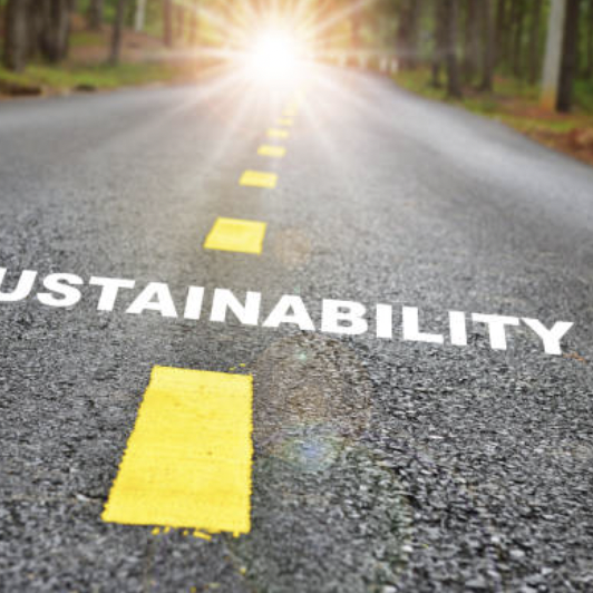 Tha Path to Sustainability
