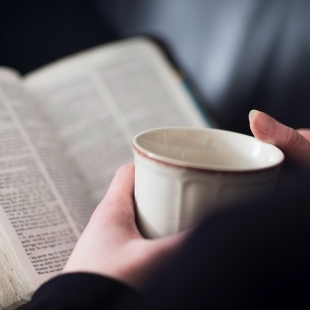The Navigators - Sharing God's Word through study and discipleship 