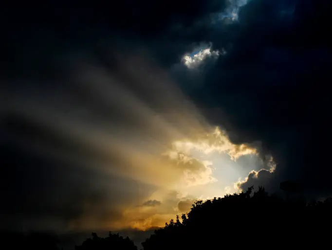 Christian Leadership Alliance - A Leader's Choice